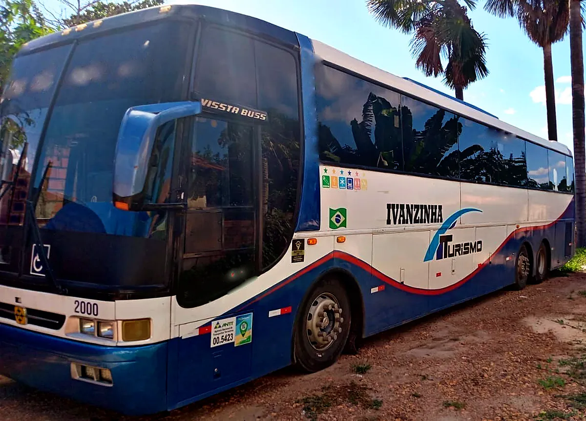 Vissta Buss entre coqueiros